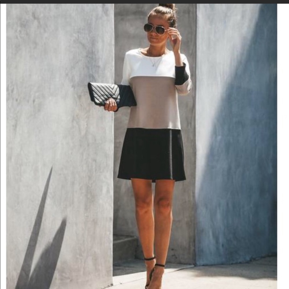 Vici Expensive Taste Colorblock Shift Dress